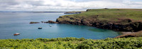 Skomer Island 2021