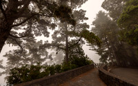 La Palma 2026