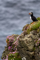Shetland 2023