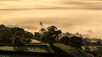 Somerset Mist