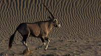 Namibia 2017