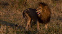 Kenya 2016