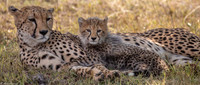 Kenya 2019