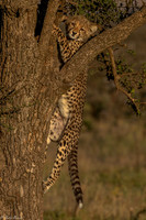 Kenya 2018