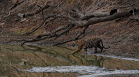 India 2016